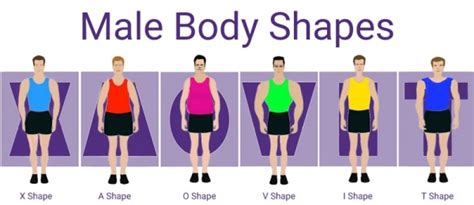 Male Body Type Calculator | Mens Body Shape Calculator - NEW!