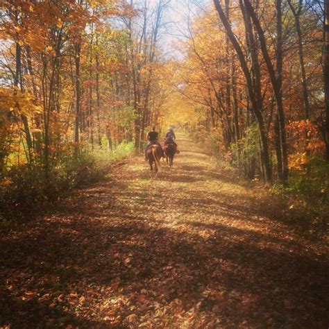 Horseback riding or trail riding in the fall is beautiful. Corn Stalks, Hot Apple Cider, Horse ...