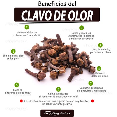 CLAVO de OLOR: Beneficios y Propiedades Saludable Revista Digital