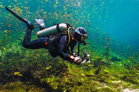 Best Scuba Diving in Florida [iDiveblue] Expert Guide