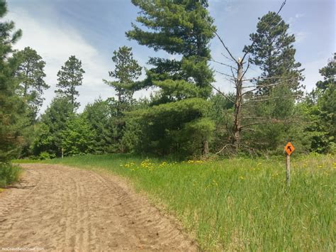 Hikes in Sand Dunes State Forest, Minnesota