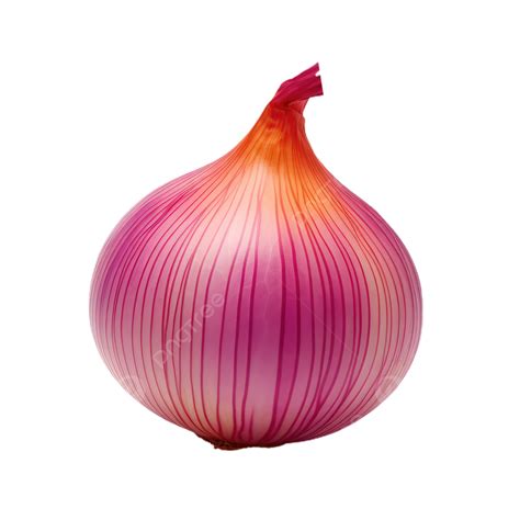 Onion Transparent Background, Fresh, Transparent, Vegetable PNG Transparent Clipart Image and ...