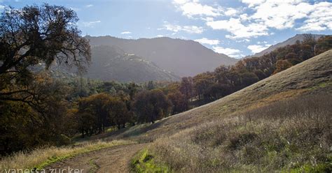 Hike the Waterfalls of Mount Diablo Loop Trail , Waterfalls of Mount Diablo Trail