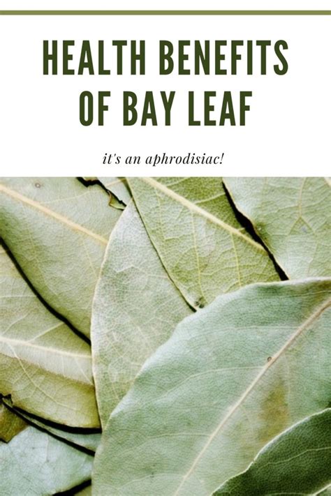 The Aphrodisiac Benefits of Bay Leaf - Eat Something Sexy