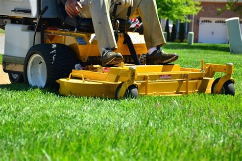 Best Time to Mow Your Lawn – Grass Cutting 101