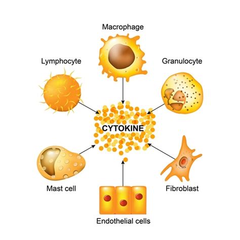 What are Cytokines?