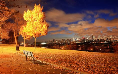 Wallpaper : sunlight, trees, lights, fall, leaves, sunset, cityscape ...