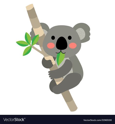 Koala bear animal cartoon character Royalty Free Vector