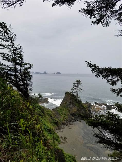 Shi Shi Beach Trail Hike in Washington - The Road Trip Adventure