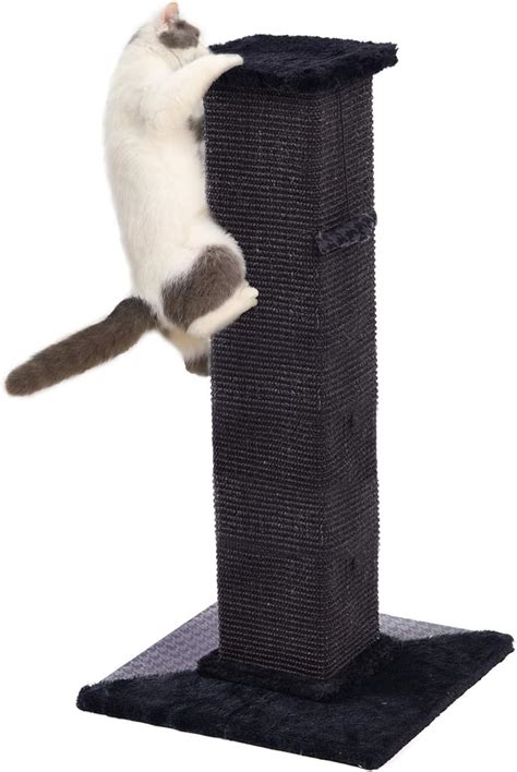 Best Cat Scratching Post (2020)