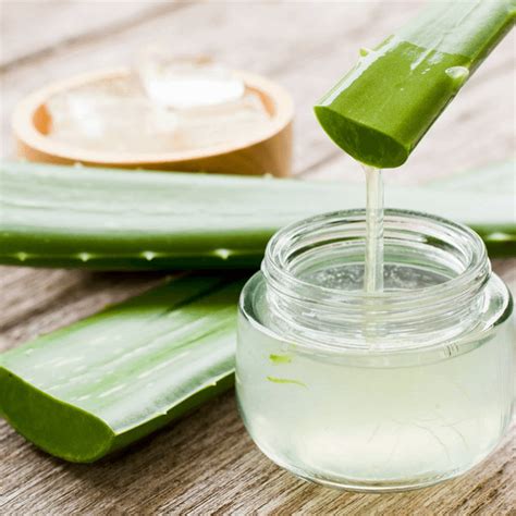 Aloe Vera for mild dermatitis in the neck in eyelids : r/AtopicDermatitis