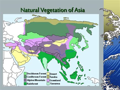 South Asia Vegetation Map