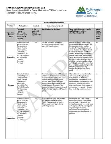 FREE 9+ HACCP Hazard Analysis Templates in PDF | MS Word