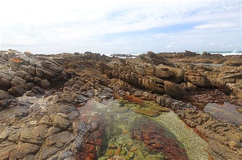 Cape Agulhas - WorldAtlas