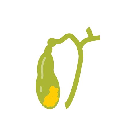 Gallbladder icon in vector. Illustration 27393992 Vector Art at Vecteezy