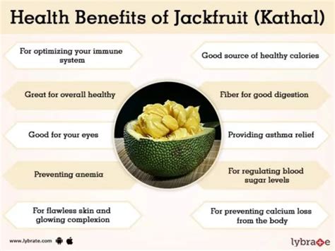 Unripe Jackfruit Nutrition Facts | Besto Blog