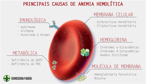 Pin on Biomedicina