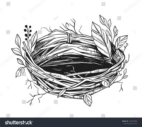 Illustration Birds Nest Hand Drawn Sketch Stock Vector (Royalty Free ...