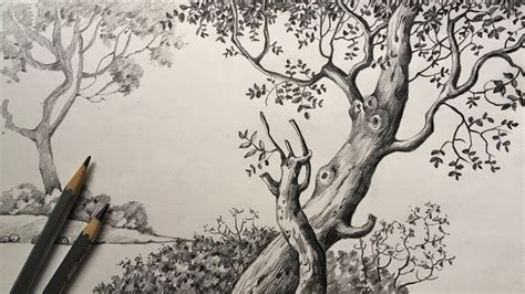 Top more than 75 tree scenery sketch latest - seven.edu.vn