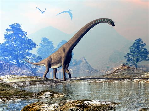 Enormous Titanosaur discovered in the Pyrenees - Earth.com