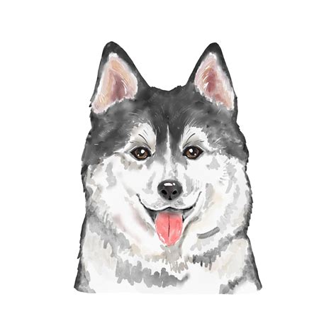 Premium Vector | Dog siberian husky watercolor painting adorable puppy ...