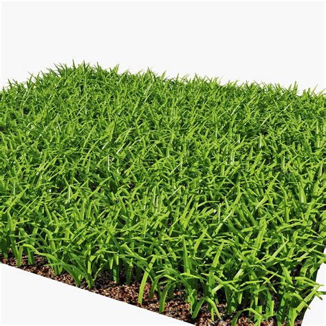 grass 3D Models in Grass and Ground Cover 3DExport