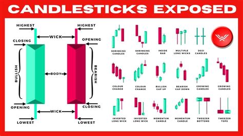 Learn How to Read Forex Candlestick Charts Like a Pro