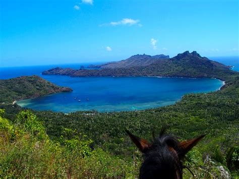 Nuku-Hiva on horseback (Nuku Hiva): UPDATED 2021 All You Need to Know Before You Go (with PHOTOS)