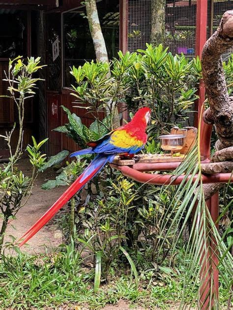 11 Best Things To Do in Puerto Viejo - Costa Rica - Indiana Jo