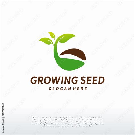 Growing Seed Logo designs vector, Seed Nature logo Stock Vector | Adobe ...