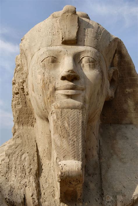 Sphinx Face