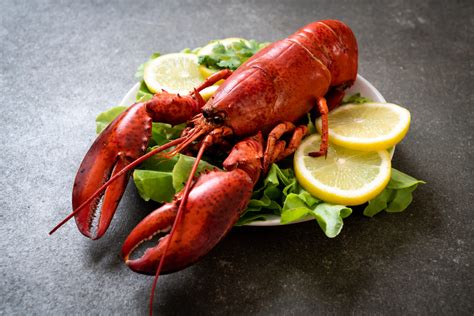 Cooked Boston Lobster (350 – 450g) - Savour Seafood