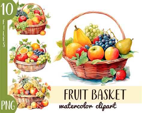 Watercolor Fruit Baskets Clipart Wicker Baskets - Etsy