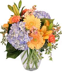 Florist Charlottesville VA - Flower Delivery Charlottesville Virginia