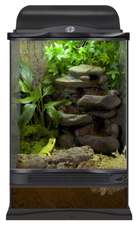 Best 25+ Frog terrarium ideas on Pinterest | Vivarium, Frog tank and Turtle terrarium