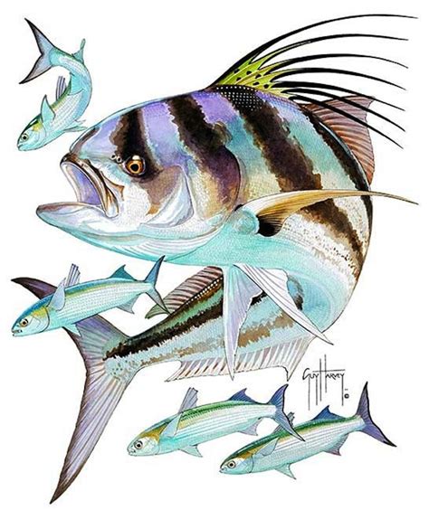 Guy Harvey "Roosterfish" Size XLarge