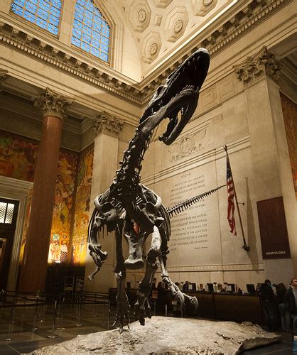 AMNH Dinosaur | Steve Harris | Flickr