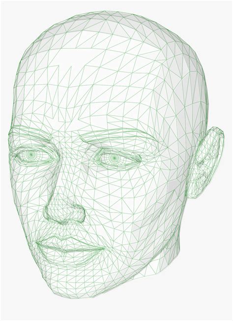 Head, Wireframe Graphics, Model, 3d, Human, Computer - 3d Free Wireframe, HD Png Download - kindpng