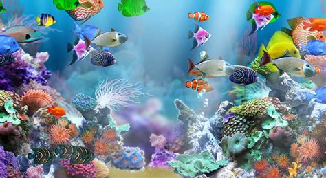 50+ Best Aquarium Backgrounds | Free & Premium Templates