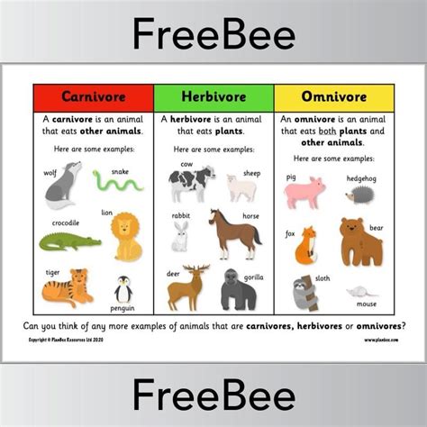 Examples Of Herbivores