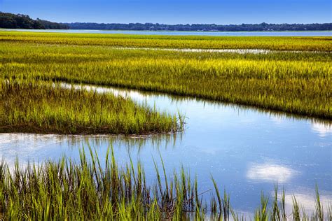 Low Country Marsh Hilton Head South Carolina Coast | Etsy Australia