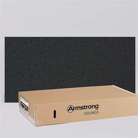 Amazon.com: black ceiling tiles 2x4