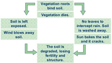 Desertification in India