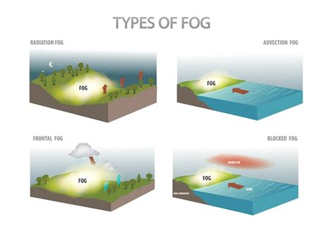 Premium Vector | Types of fog diagram