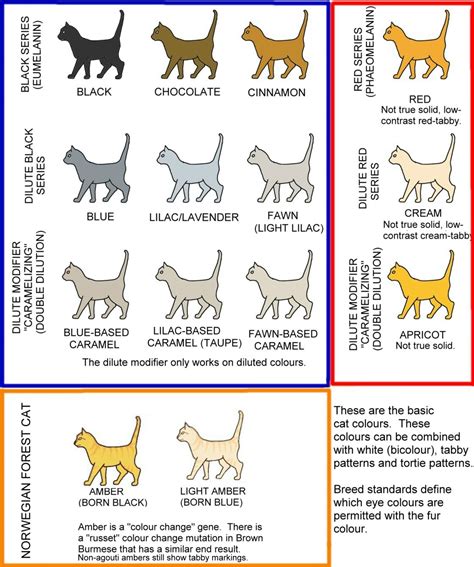 COLOUR AND PATTERN CHARTS