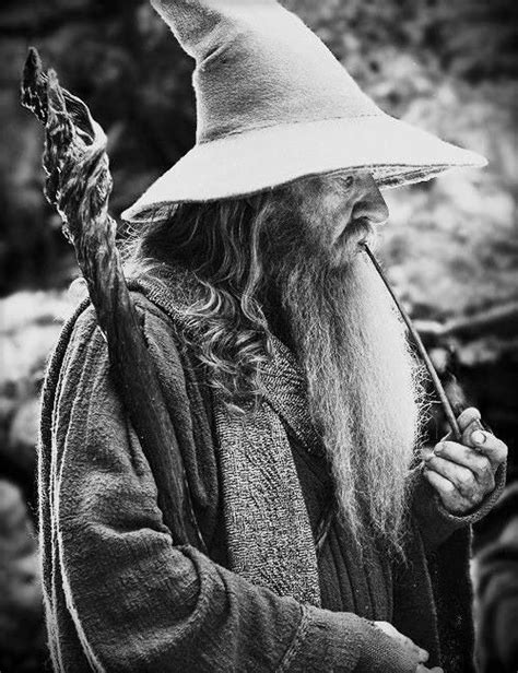 Gandalf | Fans