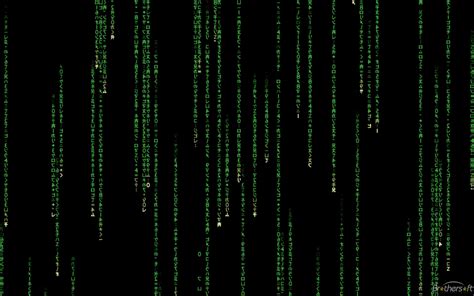 Animated Matrix Wallpaper Windows 10 - WallpaperSafari