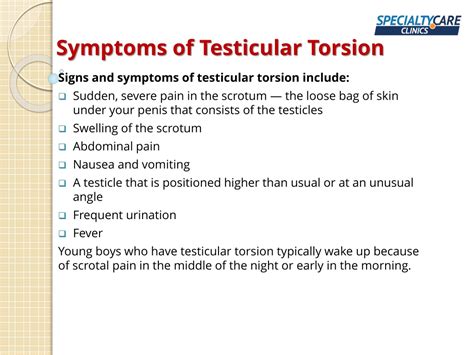 PPT - Testicular Torsion - Symptoms, Causes, and Treatment PowerPoint Presentation - ID:11203333