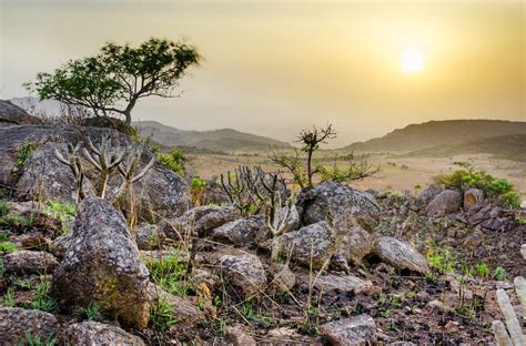 Explore Nature & Landscapes Of Nigeria: Pictures - Politics - Nigeria