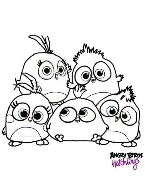 Angry Birds Hatchlings Coloring Page by ANGRYBIRDSTIFF on DeviantArt